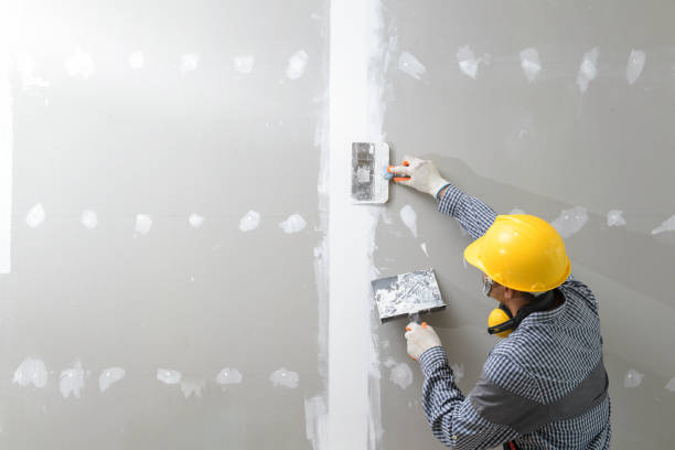 Alameda, CA Drywall & Painting Services Company